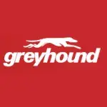 Grey Hound promo code